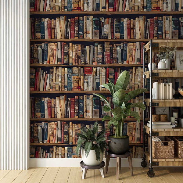 Estantes llenos de libros