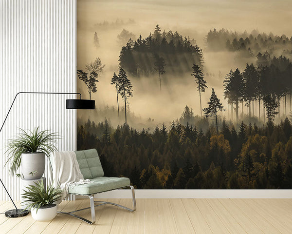 Encantamiento de niebla del bosque