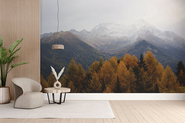 Bosques de pinos en otoño frente a montañas nevadas