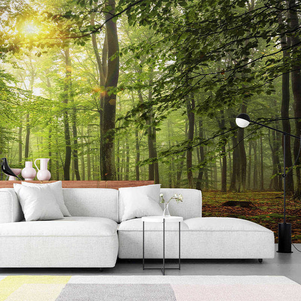 Bosque verde